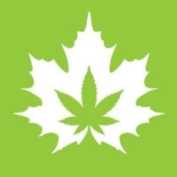 The House of Cannabis, Toronto, ON opening hours