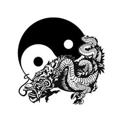 Dragon Wing Chun Kung Fu, Gatineau, QC opening hours