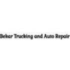 Bekar Trucking and Auto Repair, St. Brieux, SK opening hours