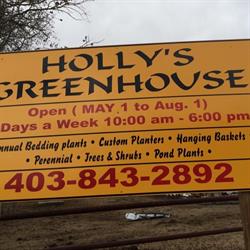 Holly's Green House Ltd, Rimbey, AB opening hours
