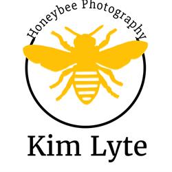 Honeybee Photography, Coboconk, ON opening hours