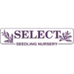 Select Seedling Nursery Ltd, Saskatoon, SK opening hours