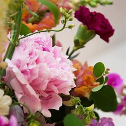 Forgather Floral Co, Barrie, ON opening hours