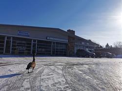 3 Bay Sales & Service, Waterloo, ON opening hours