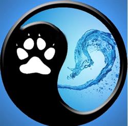 K9 Rehab Wellness Center, Mission, BC opening hours