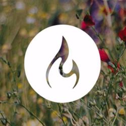 Modo Yoga Hamilton - Dundas, opening hours