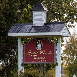 Split Rock Farms Alpacas, Apple Hill, ON opening hours