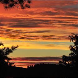 Forest Hill Real Estate Inc. Brokerage - The Baum Team, Dorset, ON opening hours
