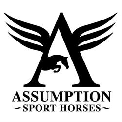Assumption Sport Horses, Otonabee, ON opening hours