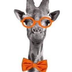 Giraffe Realty Real Estate Brokerage, Oakville, ON opening hours