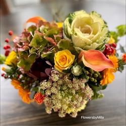 Flowers by Mila, Edmonton, AB opening hours