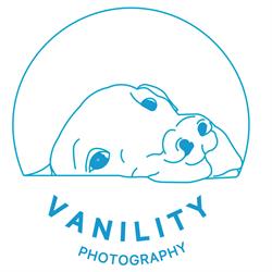 VANILITY Pet Photography - Dog and Cat Studio, North York, ON opening hours