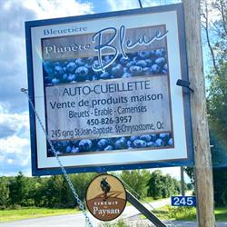 Bleuetière Planète Bleue, Saint-Chrysostome, QC opening hours