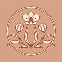 Bloom Hair & Nail Salon, Hamilton, ON opening hours