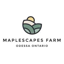 Maplescapes Farm, Odessa, ON opening hours
