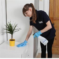 Sophanni Cleaning Services, Scarborough, ON opening hours