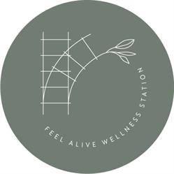 Feel Alive Wellness Station, Palmerston, ON opening hours