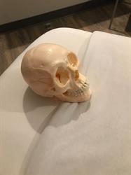 Smage Massage, Edmonton, AB opening hours
