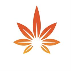 Bimor Cannabis, Calgary, AB opening hours