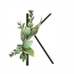 Kaia Hair Studio, Acton, ON opening hours