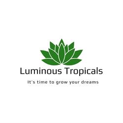 Luminous Tropicals, Brampton, ON opening hours