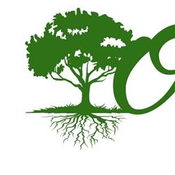 Olympia Tree Care Ltd., Windsor, ON opening hours