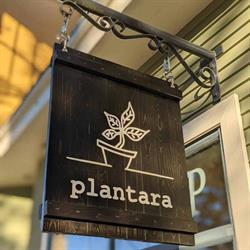 Plantara, Nanaimo, BC opening hours
