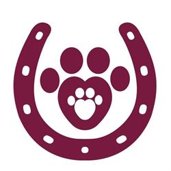 Talbot Road Veterinary Services, Delhi, ON opening hours