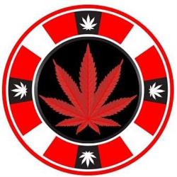 Jackpot Cannabis, Etobicoke, ON opening hours