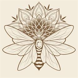 Honey Bee Tattoo Collective, Saskatoon, SK opening hours