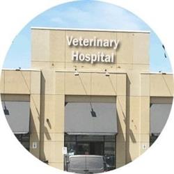 Dr. Kafai Veterinary Hospital, Richmond Hill, ON opening hours