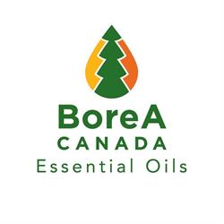 BoreA Canada, Chapais, QC opening hours
