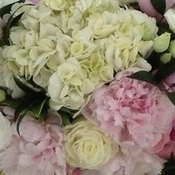 The Water Lily Decor & General Store & Lockside Guest Suite, Hastings, ON opening hours