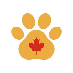 Cumberland County Animal Hospital, Amherst, NS opening hours