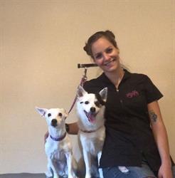 Pawsibilities Grooming, Hamilton, ON opening hours