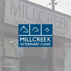 Millcreek Veterinary Clinic, Odessa, ON opening hours