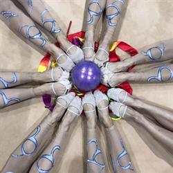 Alegria rhythmic gymnastics, Edmonton, AB opening hours