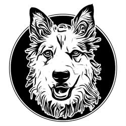 Meadow Valley Dog Training, Dauphin, MB opening hours