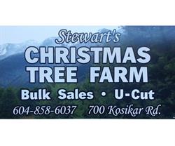 Stewart's Christmas Tree Farm, Lindell Beach, BC opening hours