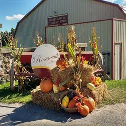 Roseneath Agricultural Fall Fair, opening hours