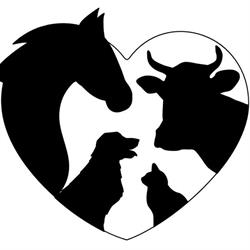Souris Veterinary Clinic, opening hours