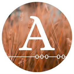 J.M.H. Adams Chartered Professional Accountants, Vermilion, AB opening hours