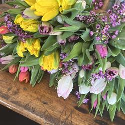Black Creek Flower Farm, Stratford, ON opening hours
