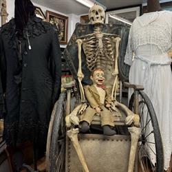 Cabinet of Curiosities, Hamilton, ON opening hours