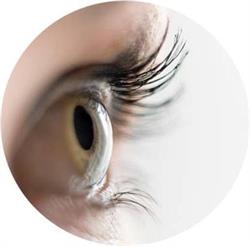 Brows by Robin, Coquitlam, BC opening hours