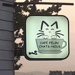 Café Félin Chats-Nous, Québec, QC opening hours