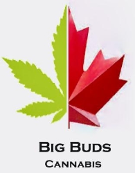 Big Buds Cannabis Sales in Winnipeg, MB (Sturgeon Creek) - Opening Hours