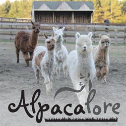 Alpacalore, St. Catharines, ON opening hours