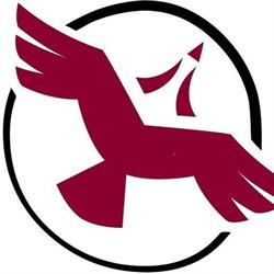 Shared Value Solutions Ltd, Guelph, ON opening hours