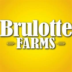 Brulotte Sweet Corn Farms, Dorchester, ON opening hours